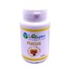 VERTUPLUS FUCUS 90 GELULES
